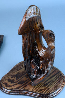 "Golden Eagle" stand. Ponderosa pine burl is an independent work of natural art.